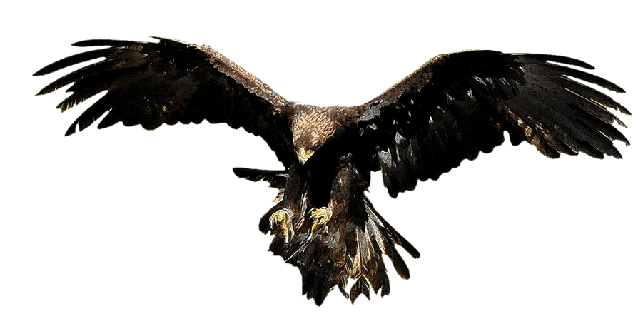 Adler2